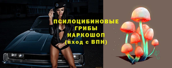 2c-b Алексеевка