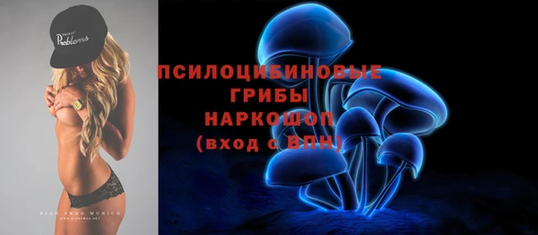 СК Алзамай