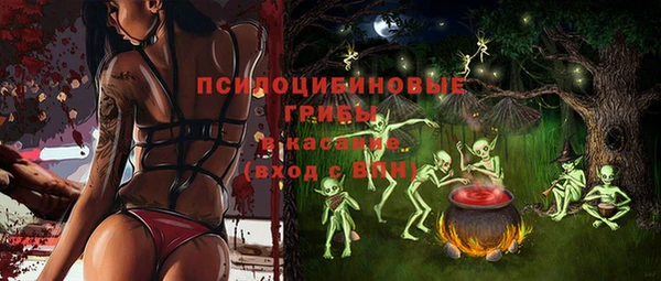 2c-b Алексеевка