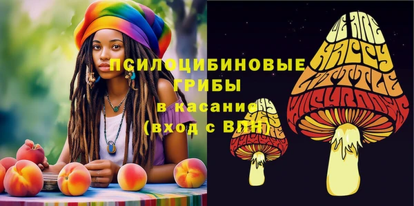 СК Алзамай