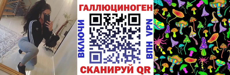 Галлюциногенные грибы GOLDEN TEACHER  Купить где  Апшеронск 